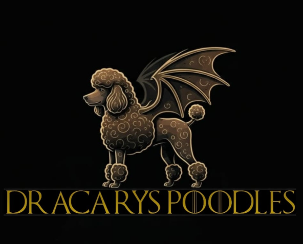 dracarys